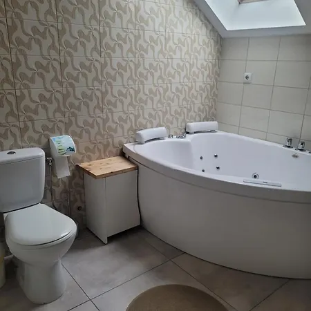 公寓 Apartamentai Rimkuose 克莱佩达